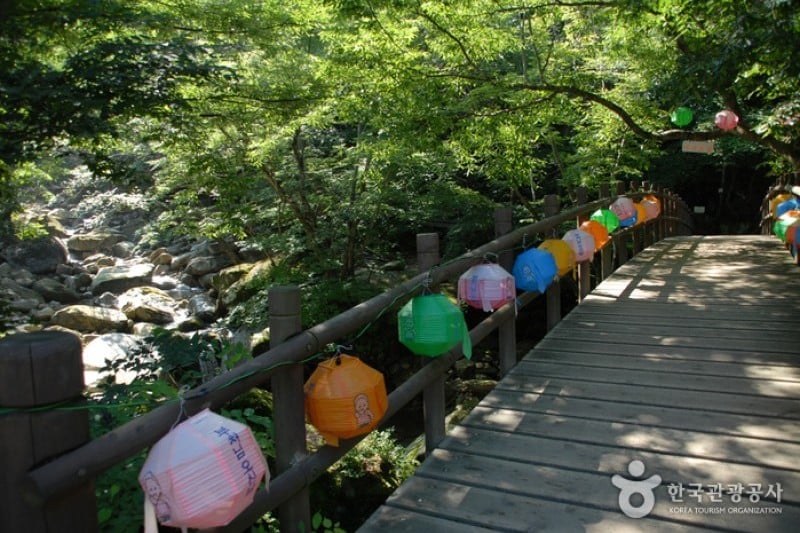 月岳山国立公園 (4/14)