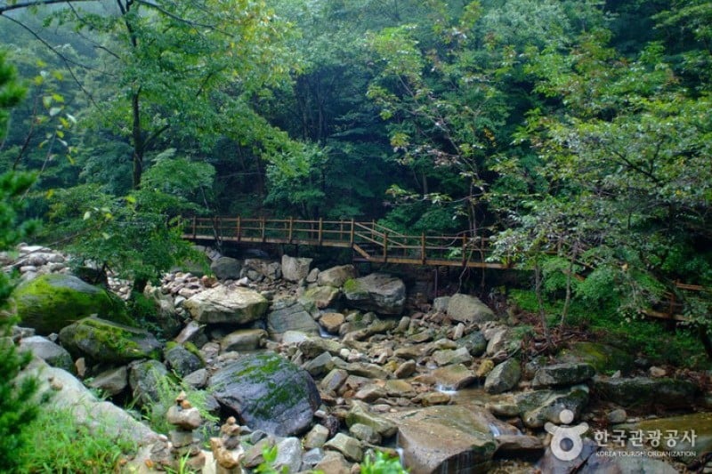 月岳山国立公園 (7/14)