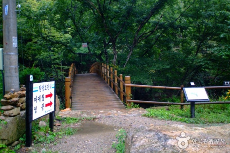 月岳山国立公園 (8/14)
