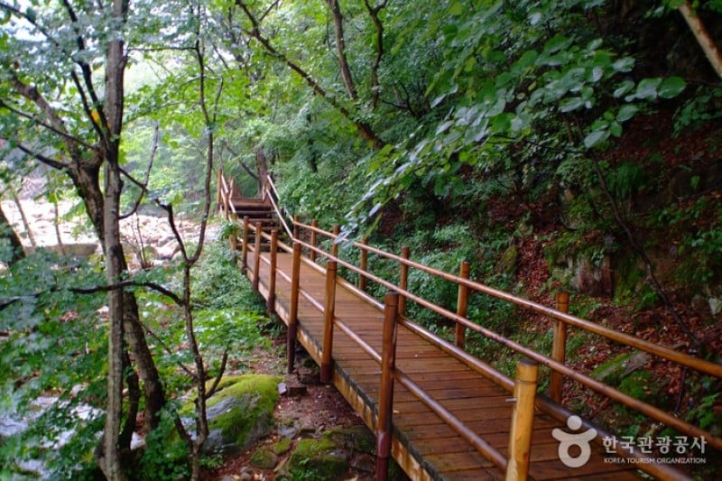 月岳山国立公園 (10/14)