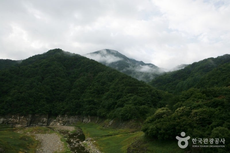 月岳山国立公園 (12/14)
