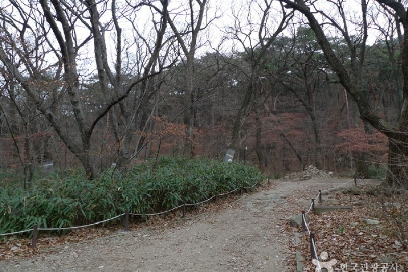 法住寺 (2/30)
