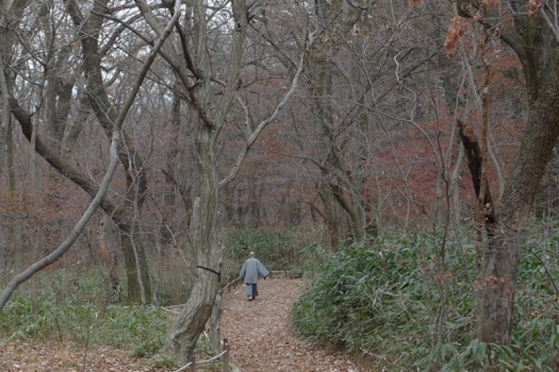 法住寺 (3/30)
