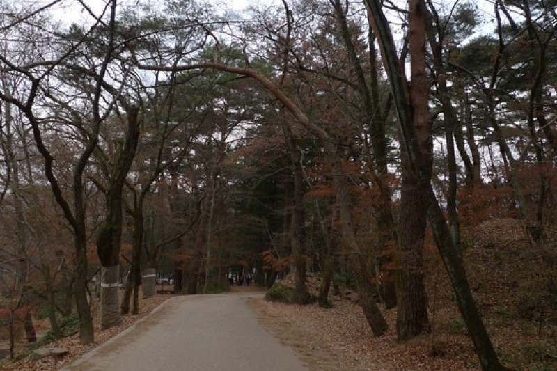 法住寺 (5/30)