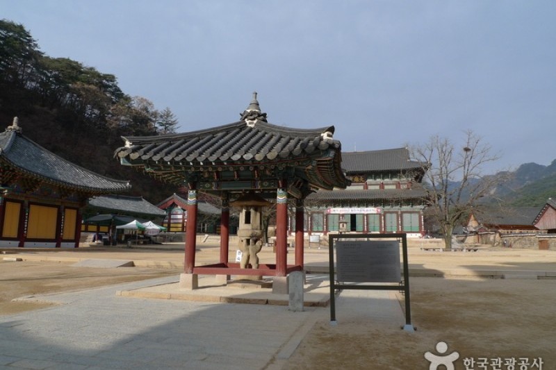 法住寺 (11/30)