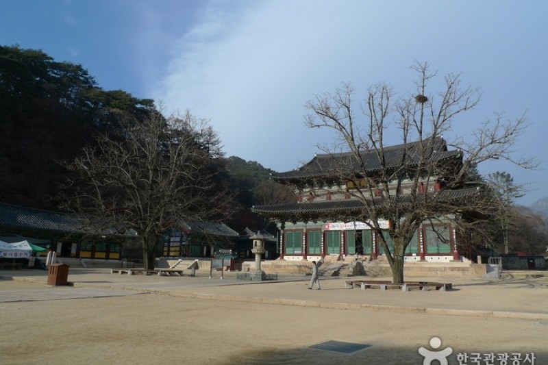 法住寺 (14/30)