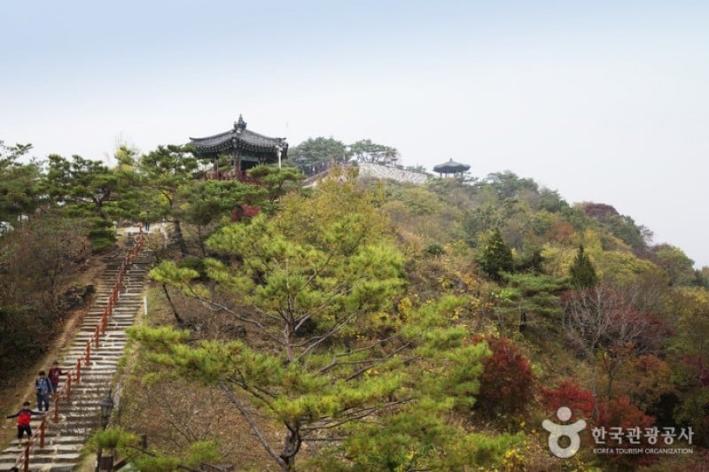 清風文化財団地 (73/82)