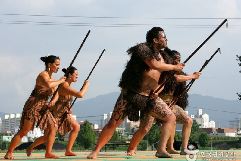 忠州世界武術祭り (1/4)