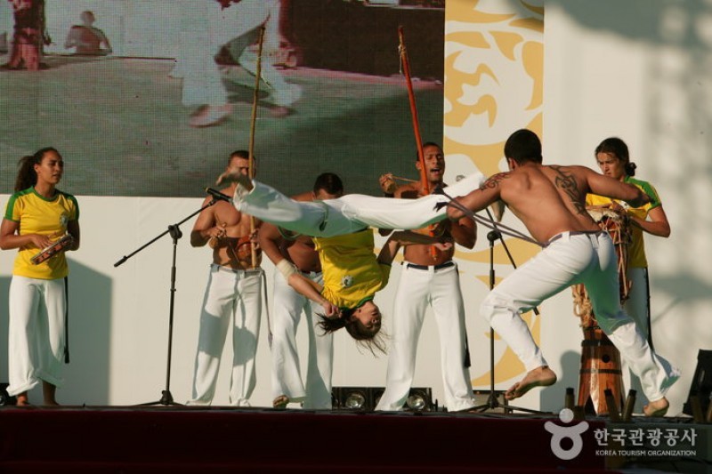忠州世界武術祭り (3/4)