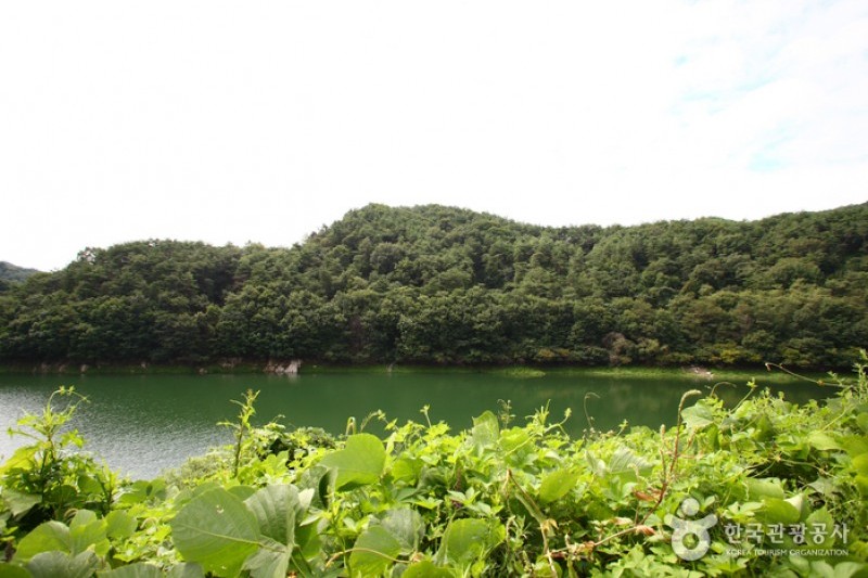 清風湖 桜祭り (1/3)