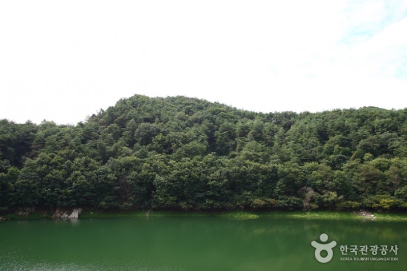 清風湖 桜祭り (3/3)