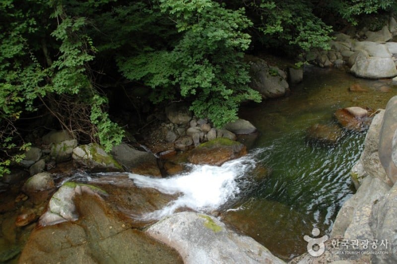 小白山国立公園（北部）（소백산국립공원 (3/6)