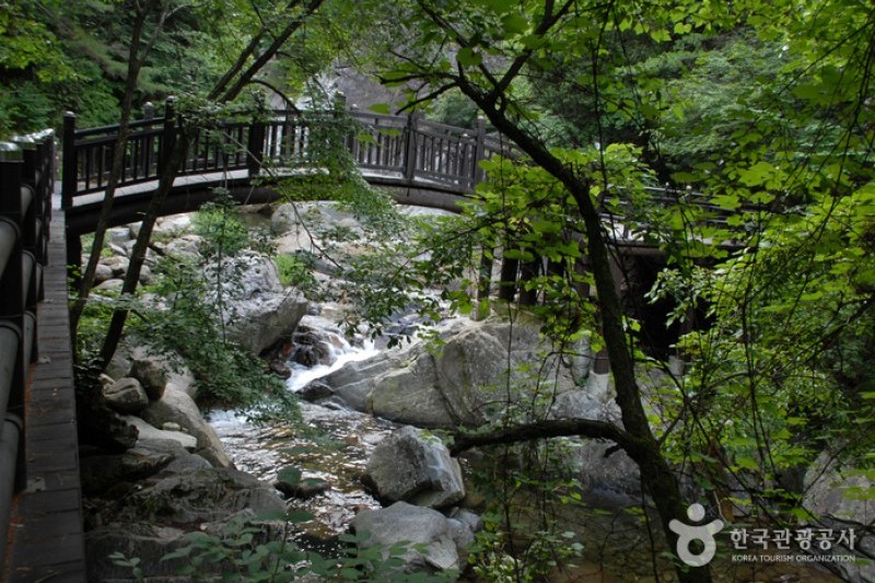 小白山国立公園（北部）（소백산국립공원 (4/6)