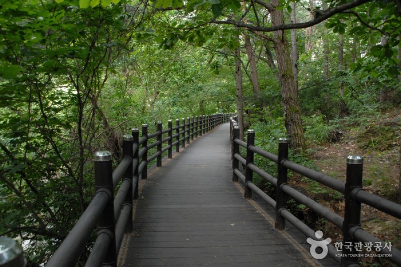 小白山国立公園（北部）（소백산국립공원 (5/6)