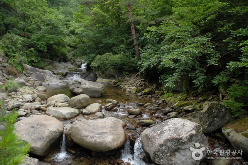 小白山国立公園（北部）（소백산국립공원 (6/6)