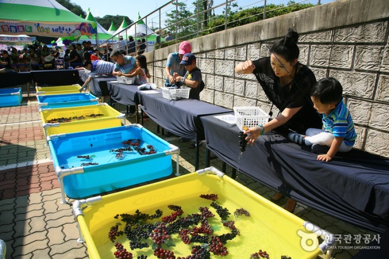 永同ブドウ祭り (5/8)