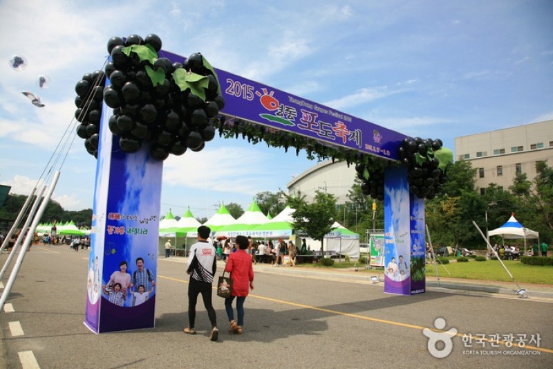 永同ブドウ祭り (6/8)