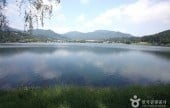 堤川義林池と堤林