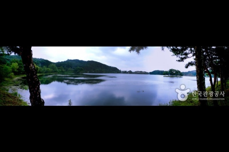 堤川義林池と堤林 (5/30)