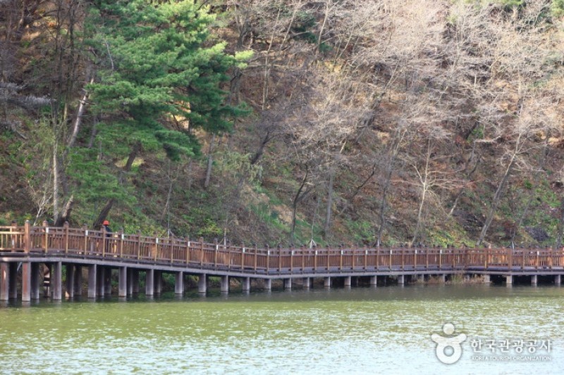 堤川義林池と堤林 (15/30)