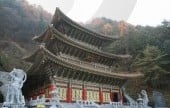 救仁寺