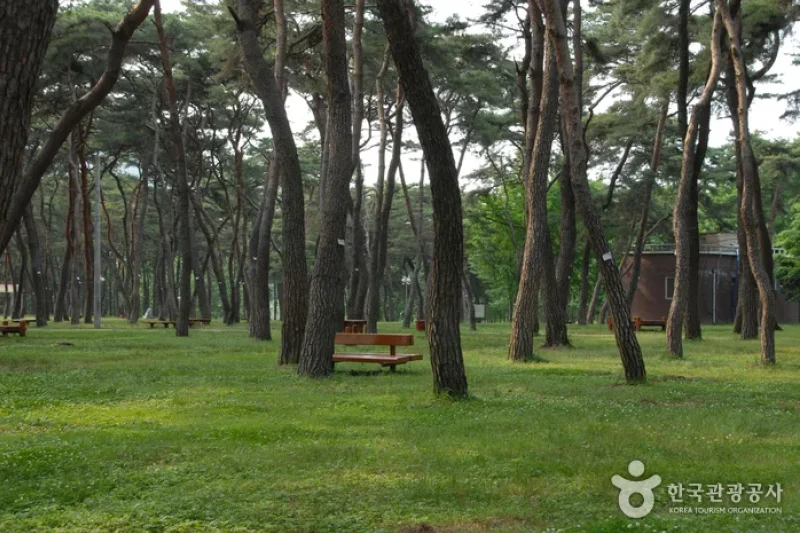 松湖国民観光地（陽山八景）（송호국민관광지(양산8경)） (2/11)