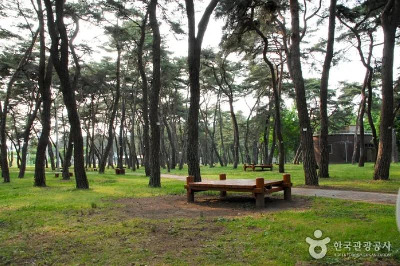 松湖国民観光地（陽山八景）（송호국민관광지(양산8경)） (3/11)