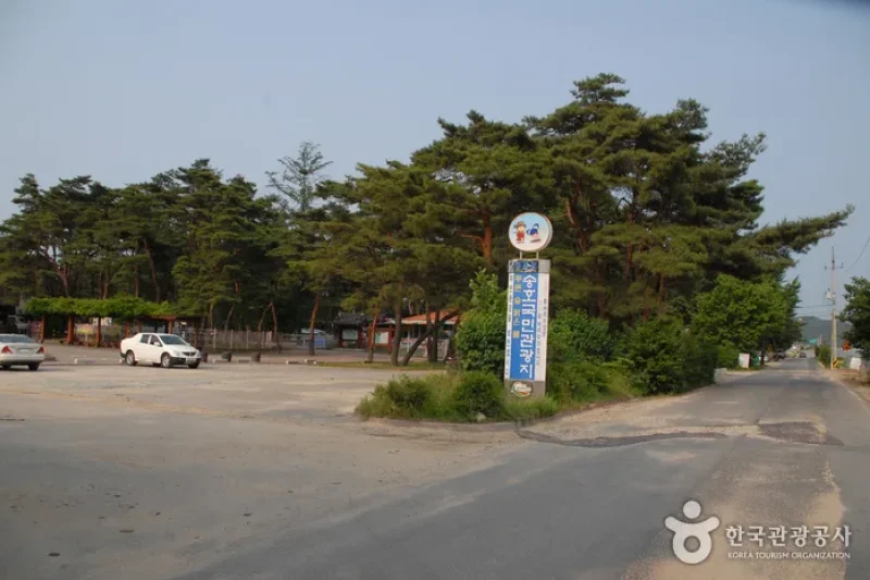 松湖国民観光地（陽山八景）（송호국민관광지(양산8경)） (5/11)