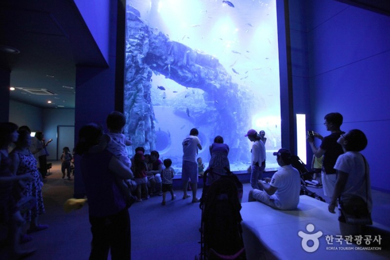 丹陽タヌリアクアリウム (8/9)