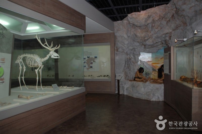垂楊介先史遺跡展示館 (2/5)