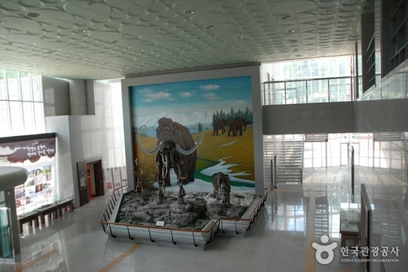 垂楊介先史遺跡展示館 (4/5)