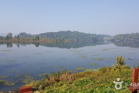 忠州弾琴台と弾琴台公園