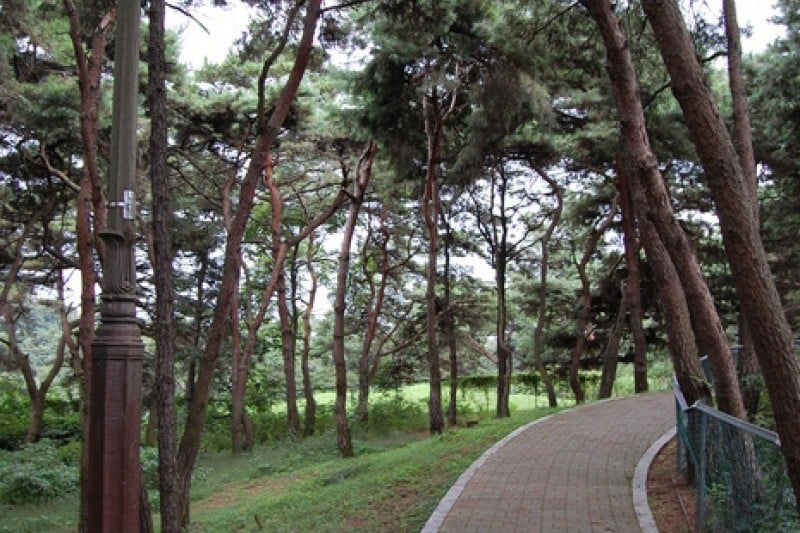 忠州弾琴台と弾琴台公園 (5/15)