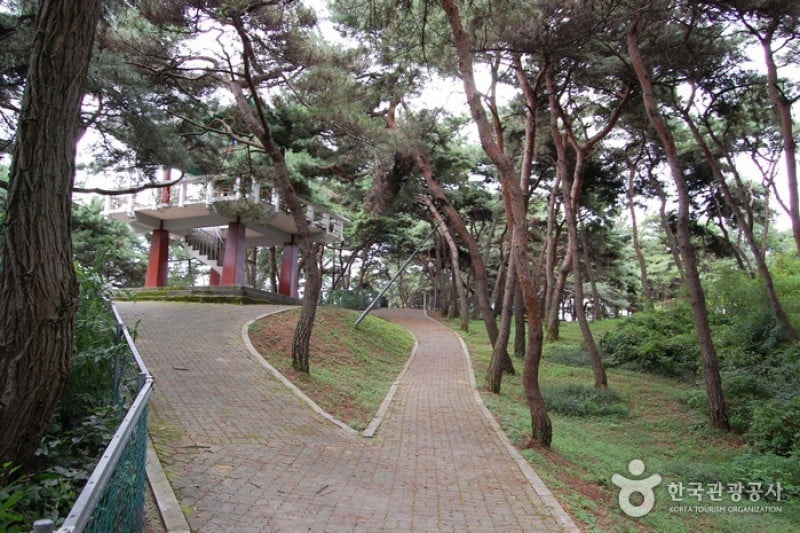忠州弾琴台と弾琴台公園 (7/15)