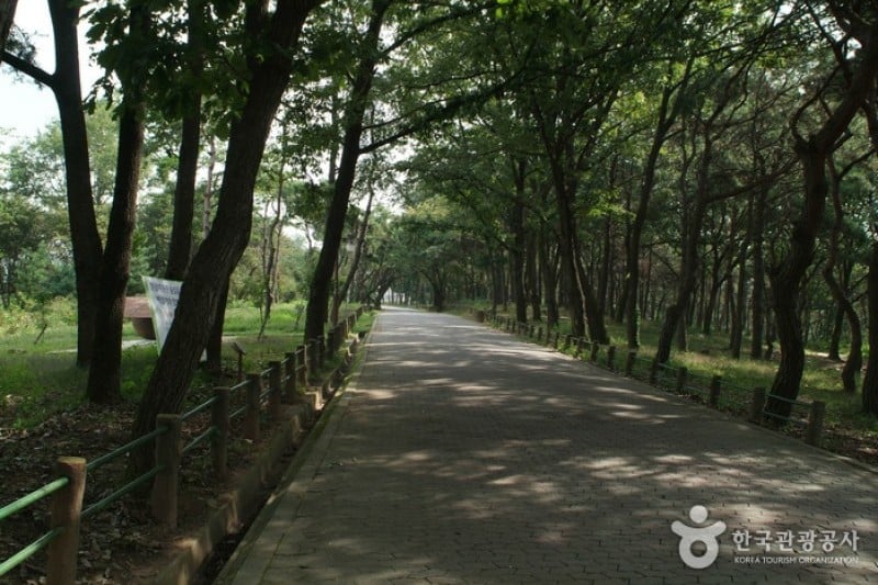 忠州弾琴台と弾琴台公園 (9/15)