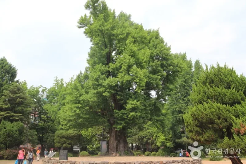 清州中央公園 (1/14)