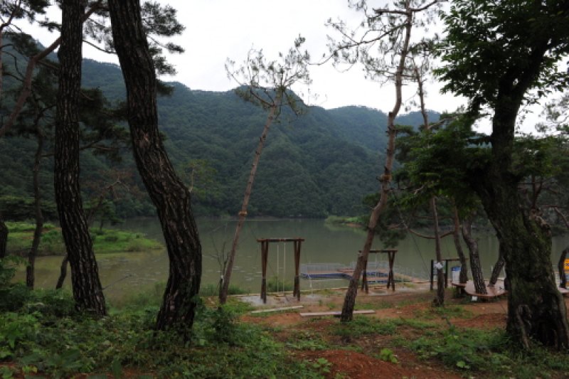 槐山湖（괴산호） (5/11)