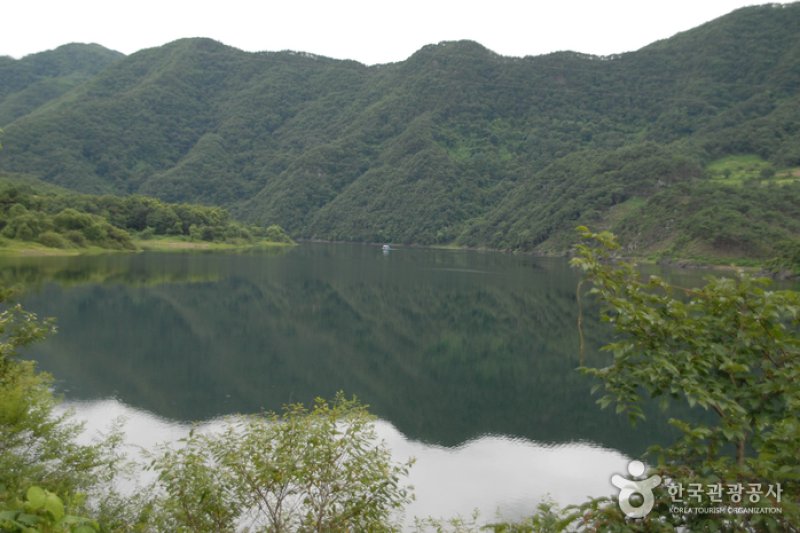 槐山湖（괴산호） (6/11)