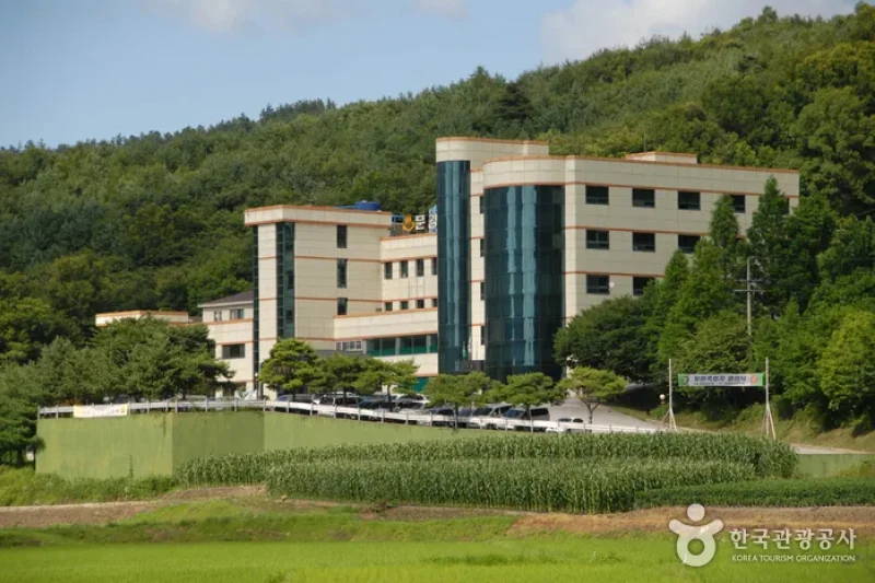 文江硫黄温泉 (1/3)