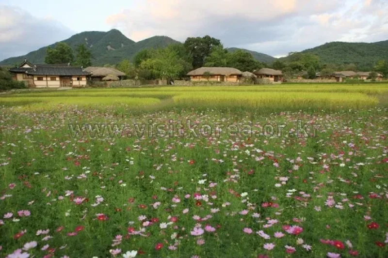 牙山外岩民俗村 (5/60)