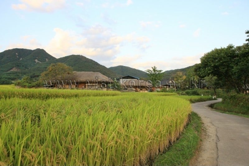 牙山外岩民俗村 (9/60)