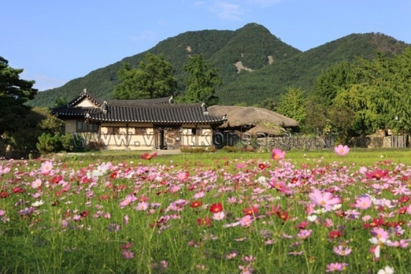 牙山外岩民俗村 (45/60)