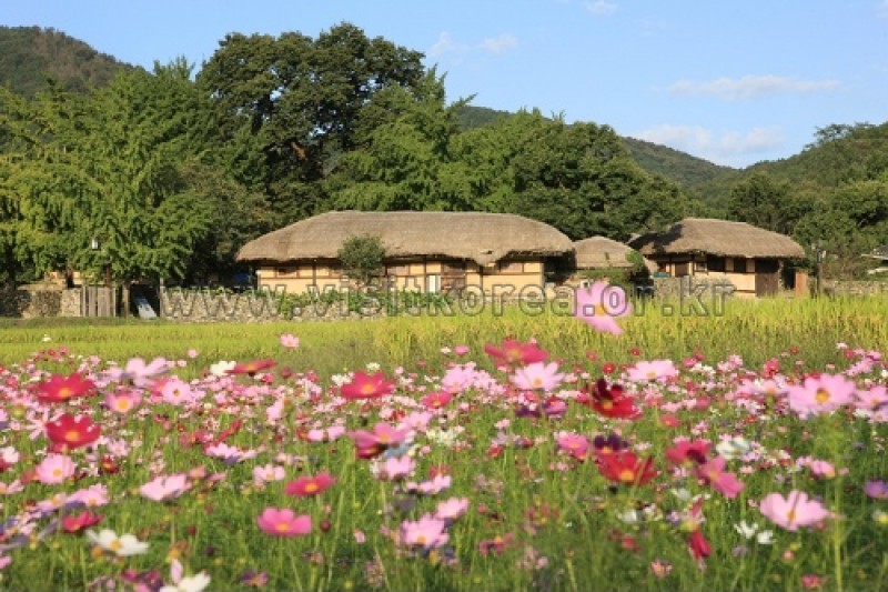 牙山外岩民俗村 (46/60)