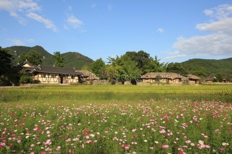 牙山外岩民俗村 (47/60)