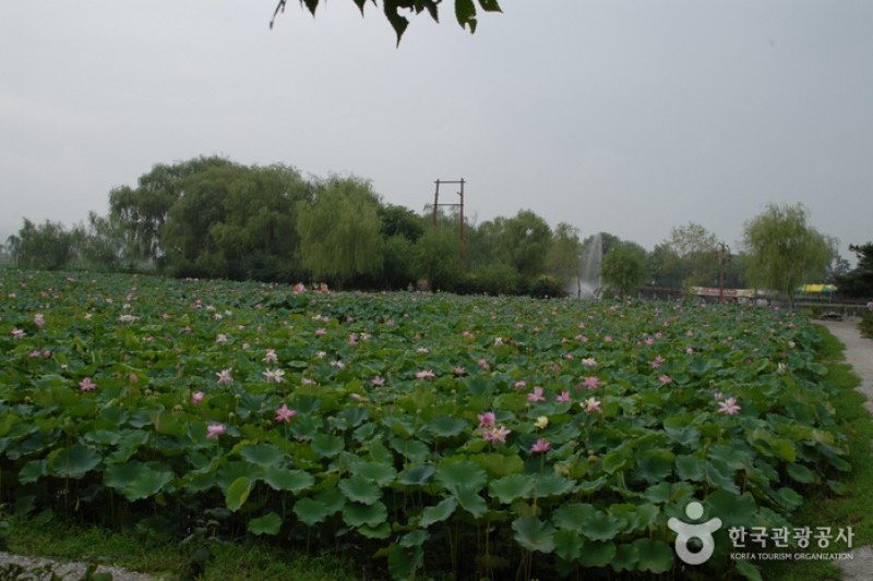 薯童公園と宮南池 (8/13)