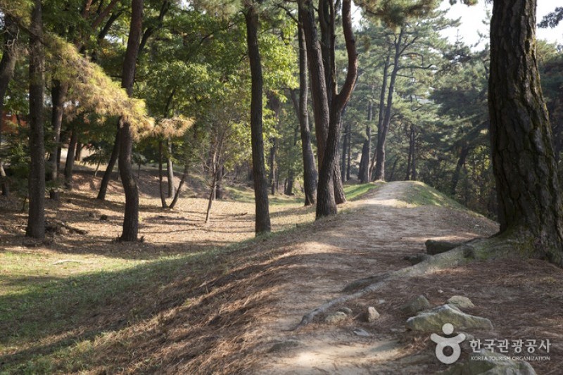 官北里遺跡と扶蘇山城［ユネスコ世界文化遺産］ (36/43)