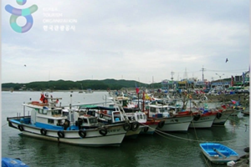安眠島 (1/3)
