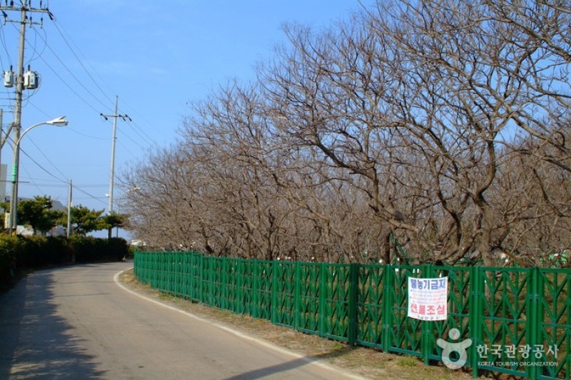 安眠島 (3/3)