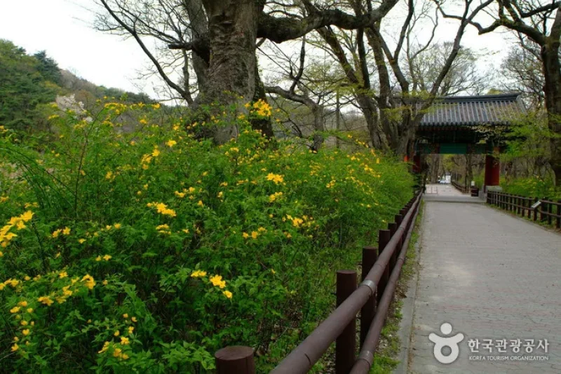 甲寺(갑사) (14/23)
