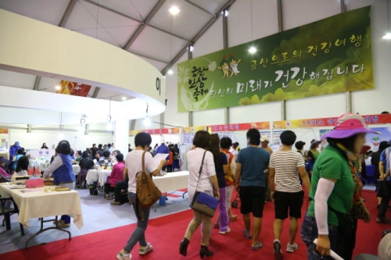 錦山高麗人蔘祭り (4/21)